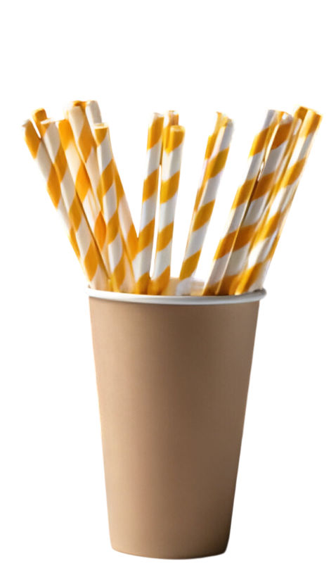 Paper Straw 1